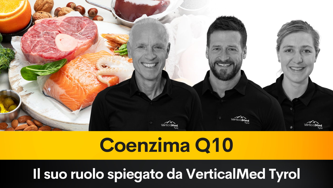 Coenzima Q10 il suo ruolo spiegato da VerticalMed Tyrol