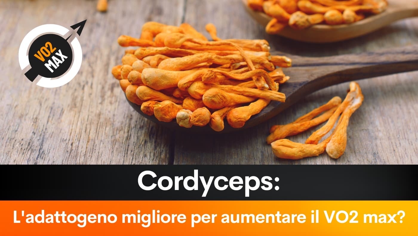 Cordyceps: L'adattogeno migliore per aumentare il VO2 max?