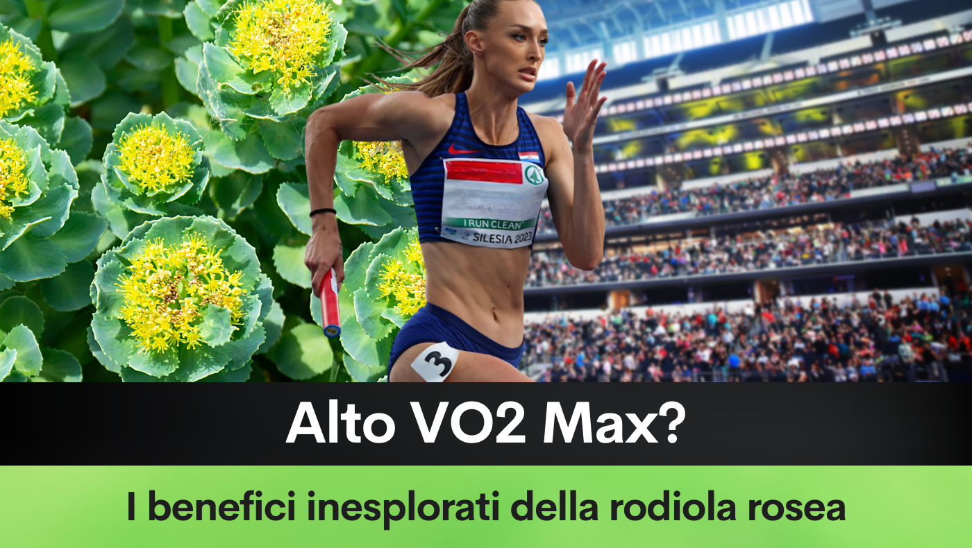 Alto VO2 Max? I benefici inesplorati della rodiola rosea