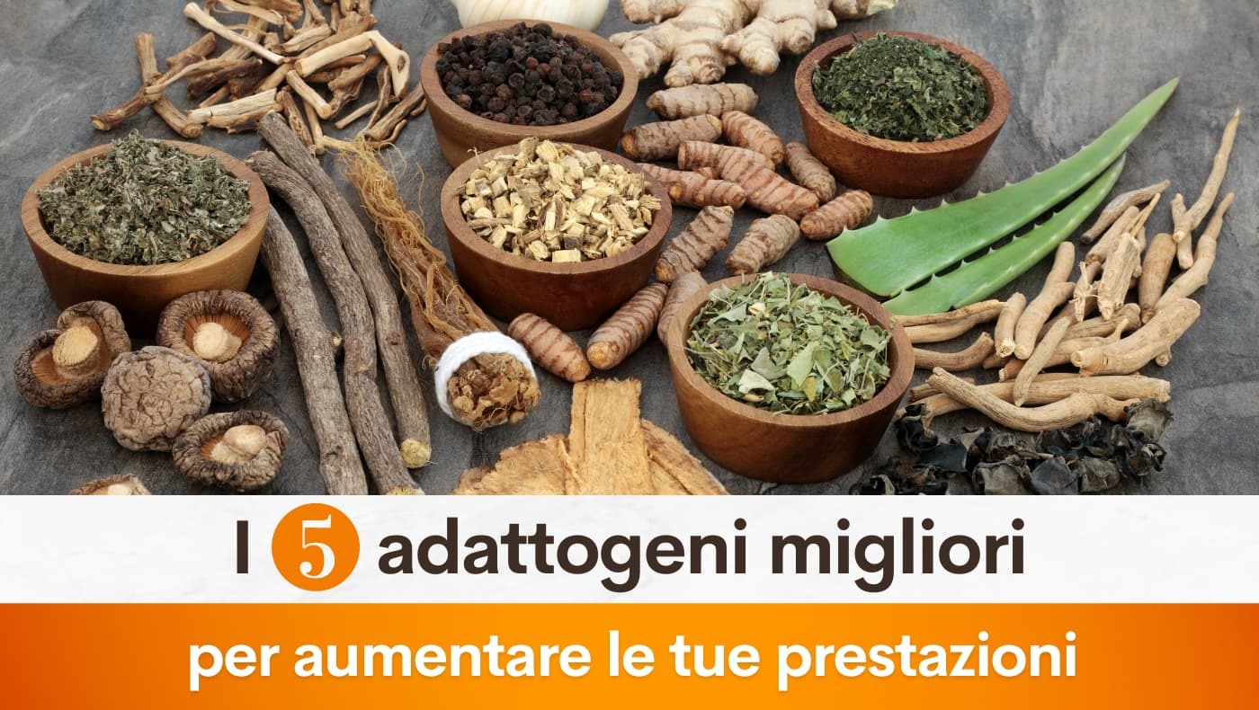 I 5 adattogeni migliori per aumentare le tue prestazioni