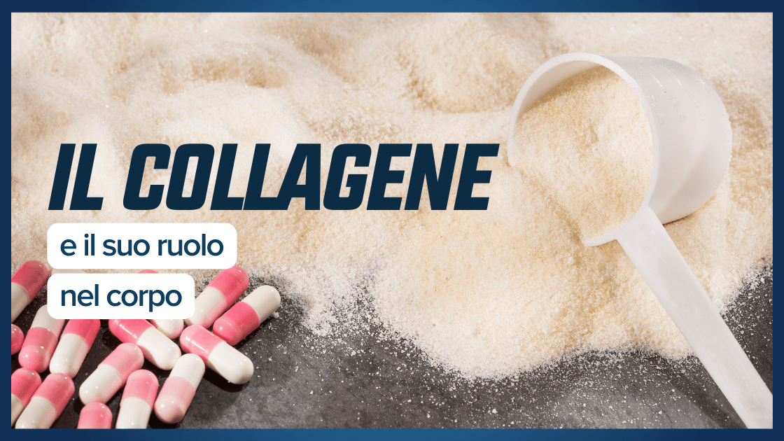 Il collagene e il suo ruolo nel corpo