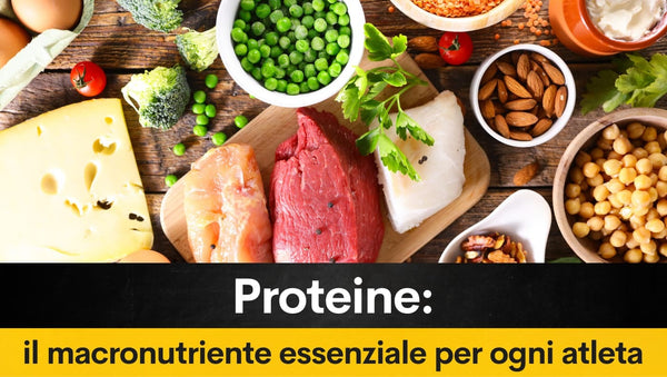 Proteine: il macronutriente essenziale per ogni atleta