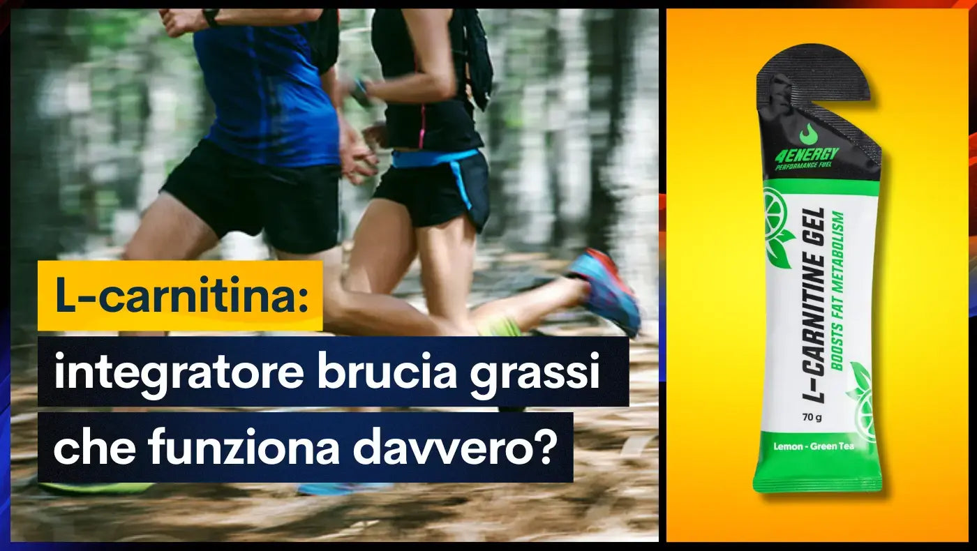 L-carnitina: integratore brucia grassi che funziona davvero?