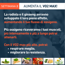 Fusion4Endurance_Pro_Brucia_Grassi_Aumenta_VO2_Max