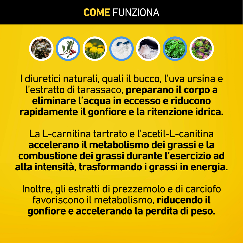 l carnitina funziona Meltdown – brucia i grassi ed elimina l'acqua dal corpo Biotics Research HCL-Plus 90 Almond Arome:Sour Gummies