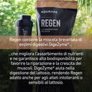 Bevanda di recupero Regen